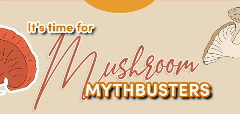It's time for Mushroom Mythbusters