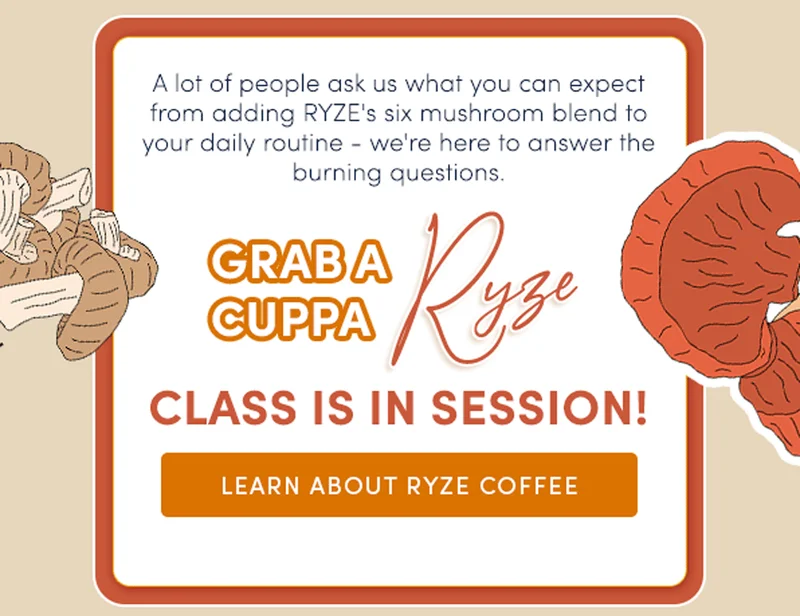 A lot of people ask us what you can expect from adding RYZE's six mushroom blend to your daily routine - we're here to answer the burning questions. Grab a cuppa RYZE class is in session! | Learn about RYZE Coffee