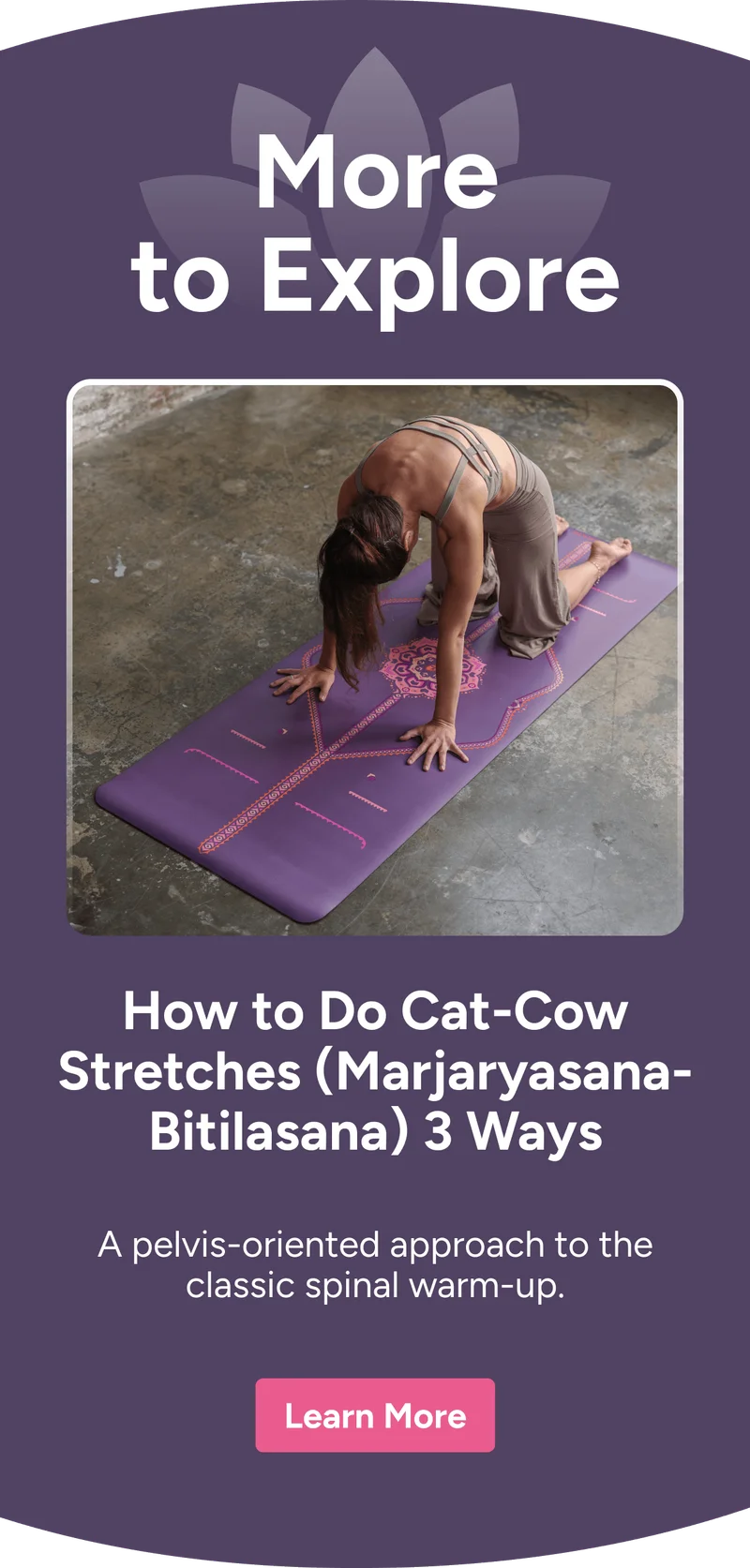 More to Explore – How to Do Cat-Cow Stretches