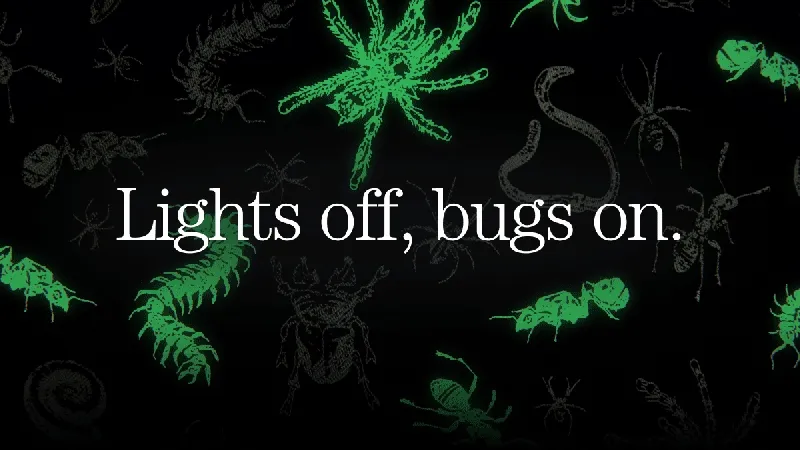 Bug out