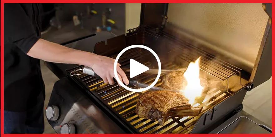How To Use The Sear Zone
