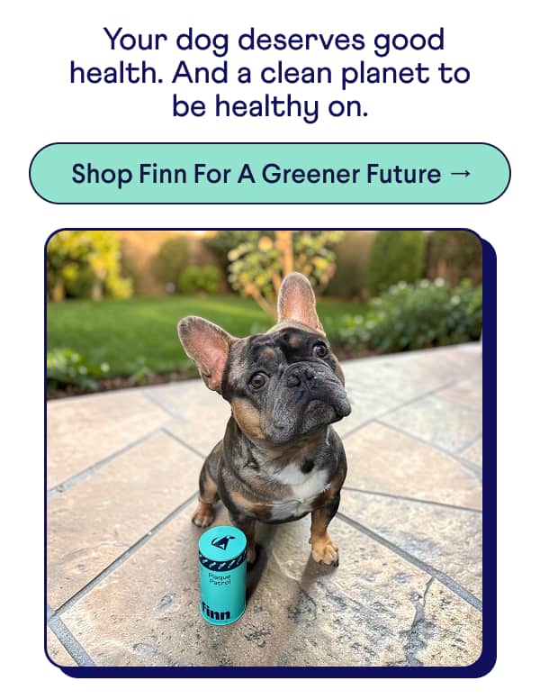 TEXT: &nbsp;Your dog deserves good health. And a clean planet to be healthy on. CTA: Shop Finn For A Greener Future →
