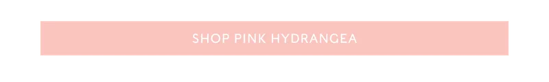 Shop Pink HYdrangea