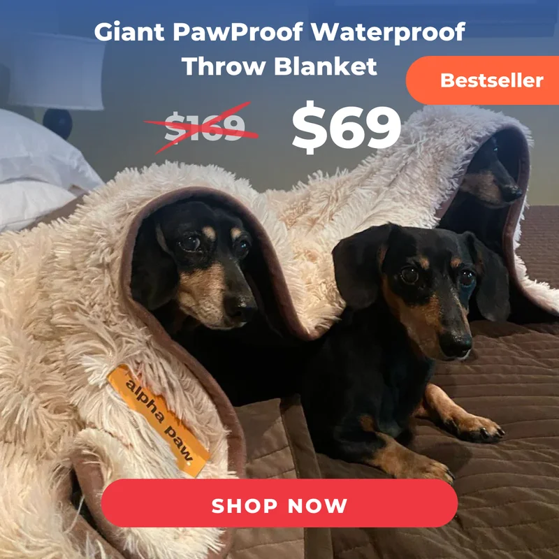 PawProof™ Throw Blanket