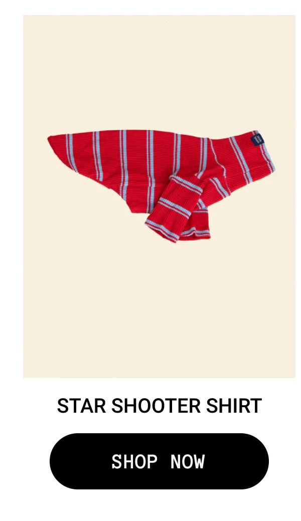 Star Shooter Shirt