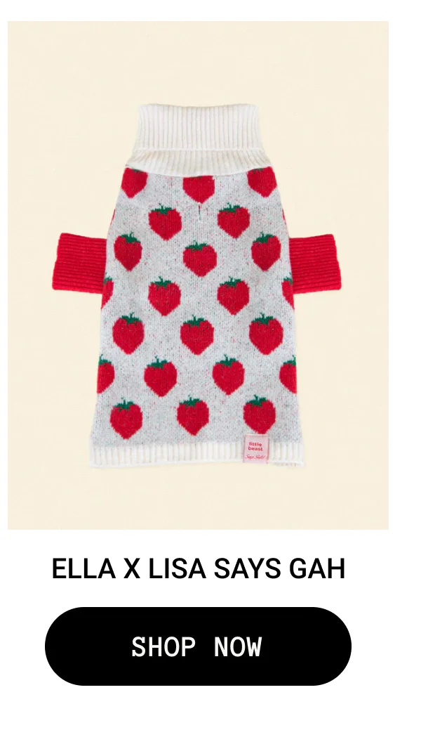 Ella x Lisa Says Gah