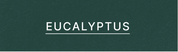 Eucalyptus