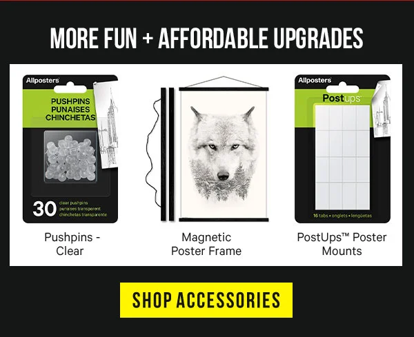 More Fun + Affordable Upgrades