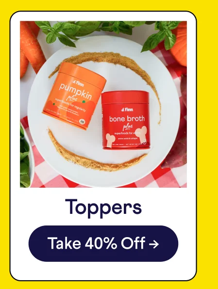 Toppers: Shop Now –>