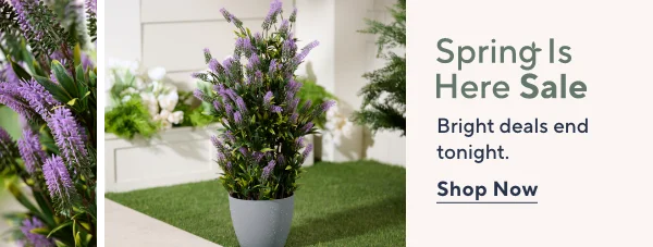 Spring Is Here Sale