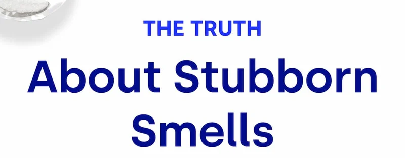 The Truth About Stubborn Smells