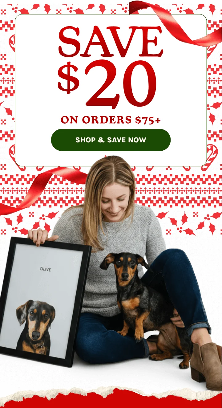 Shop & Save Now
