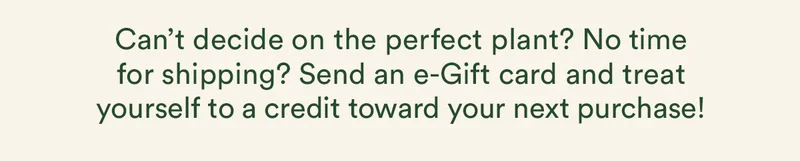 Send an e-Gift card and treat yourself to a credit toward your next purchase!