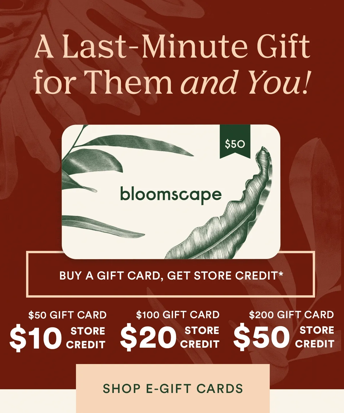 Buy a Gift Card, Get Store Credit