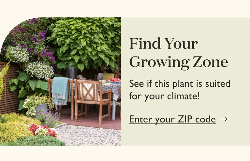Find Your Growing Zone