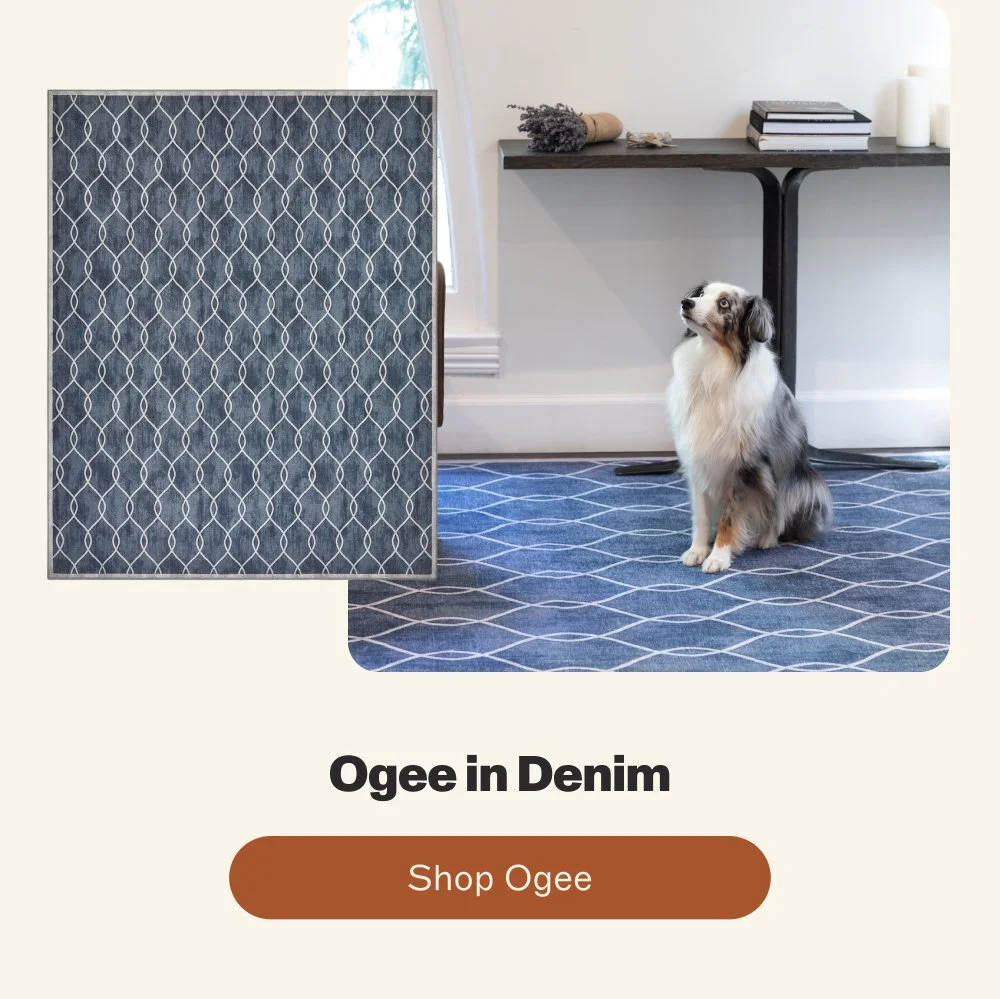 shop ogee