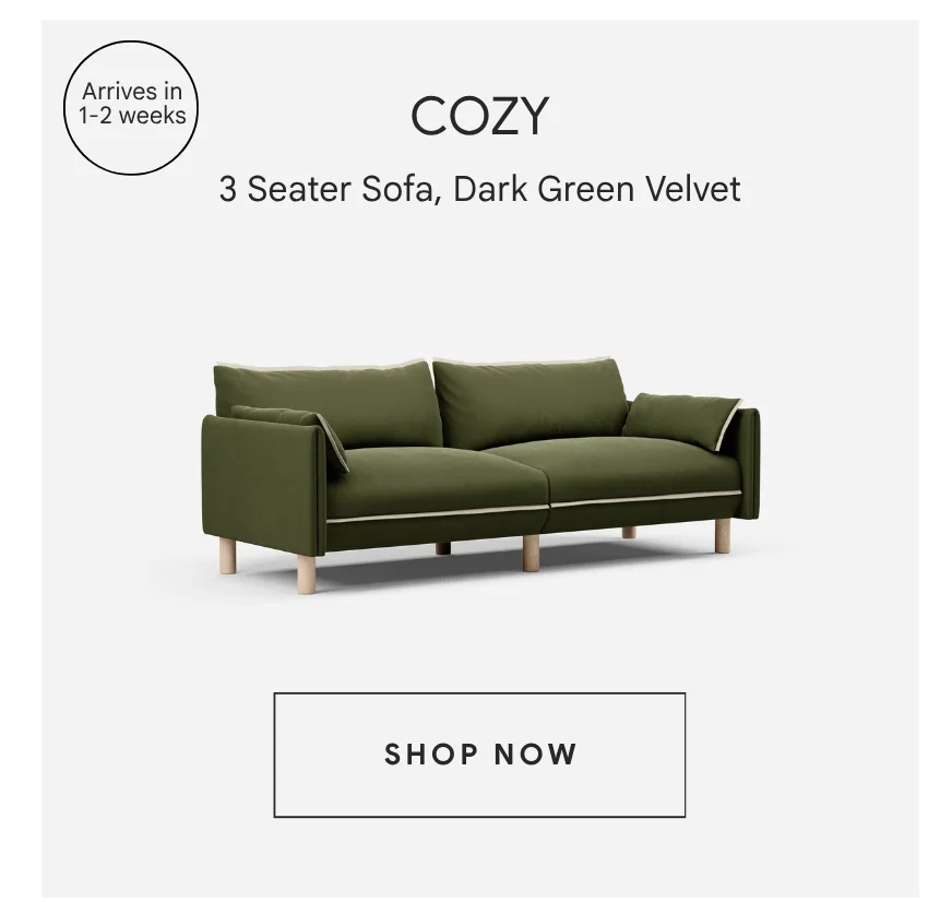Cozy 3 Seater | Dark Green Velvet