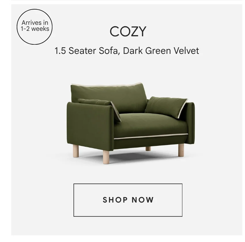 Cozy 1.5 Seater | Dark Green Velvet