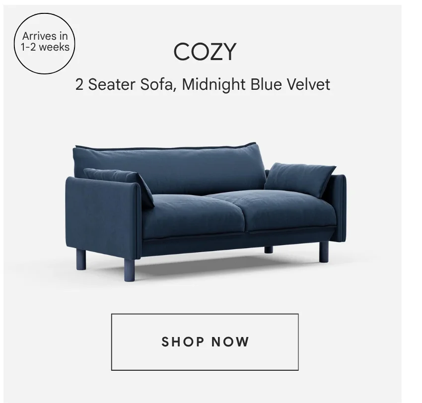 Cozy 2 Seater | Midnight Blue Velvet