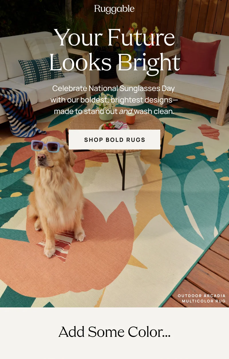 Shop Bold Rugs