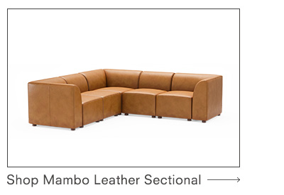 Mambo Leather Sectional