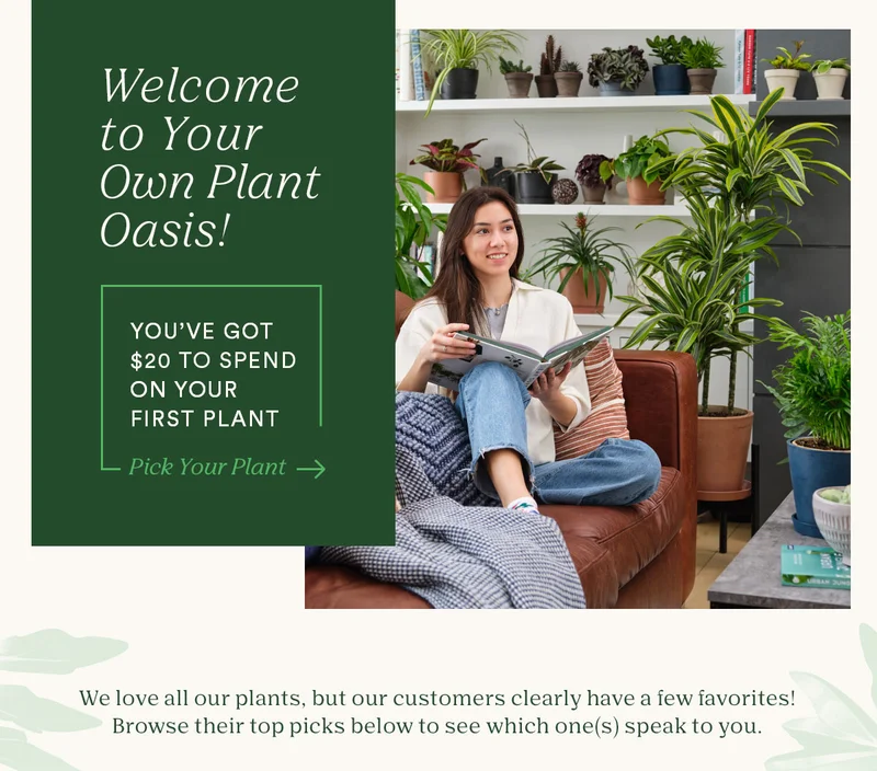 Welcome to your plant oasis!