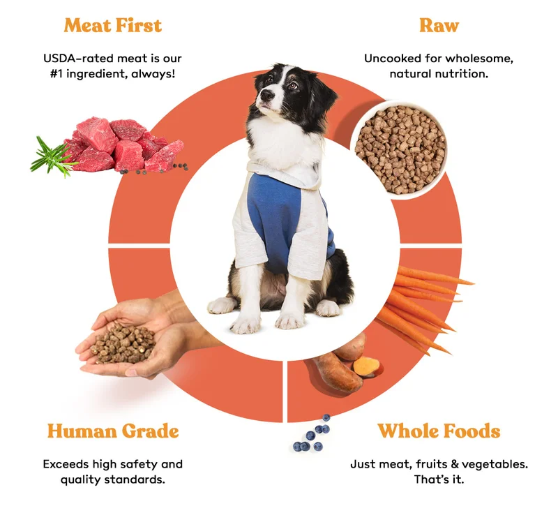 The Best Ingredients For Your Best Friend