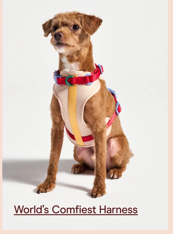 World’s comfiest harness