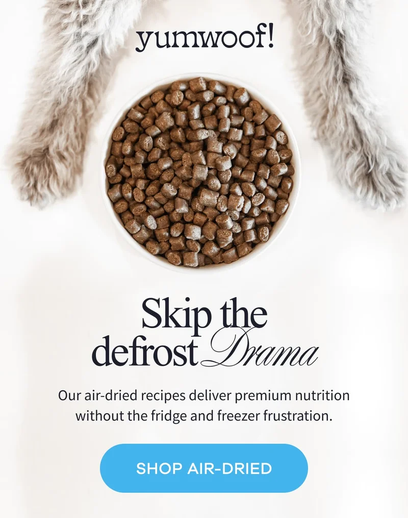 yumwoof! | Skip the defrost Drama | Our air-dried recipes deliver premium nutrition without the fridge and freezer frustration. | SHOP AIR-DRIED