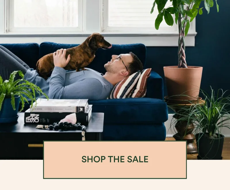 shop pet-friendly sale