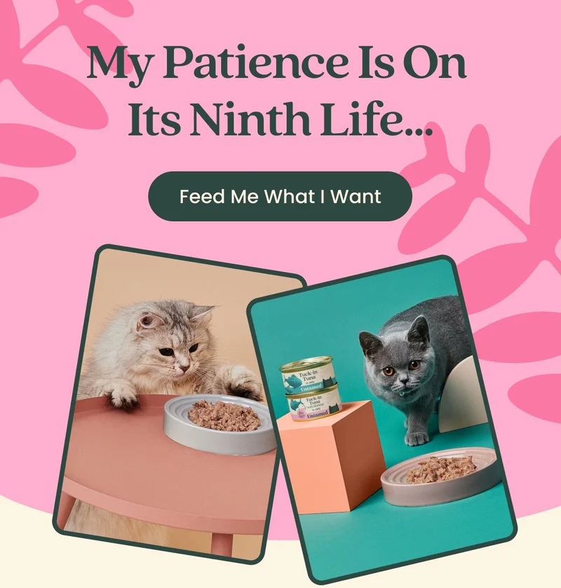 Feed Me What I Want
