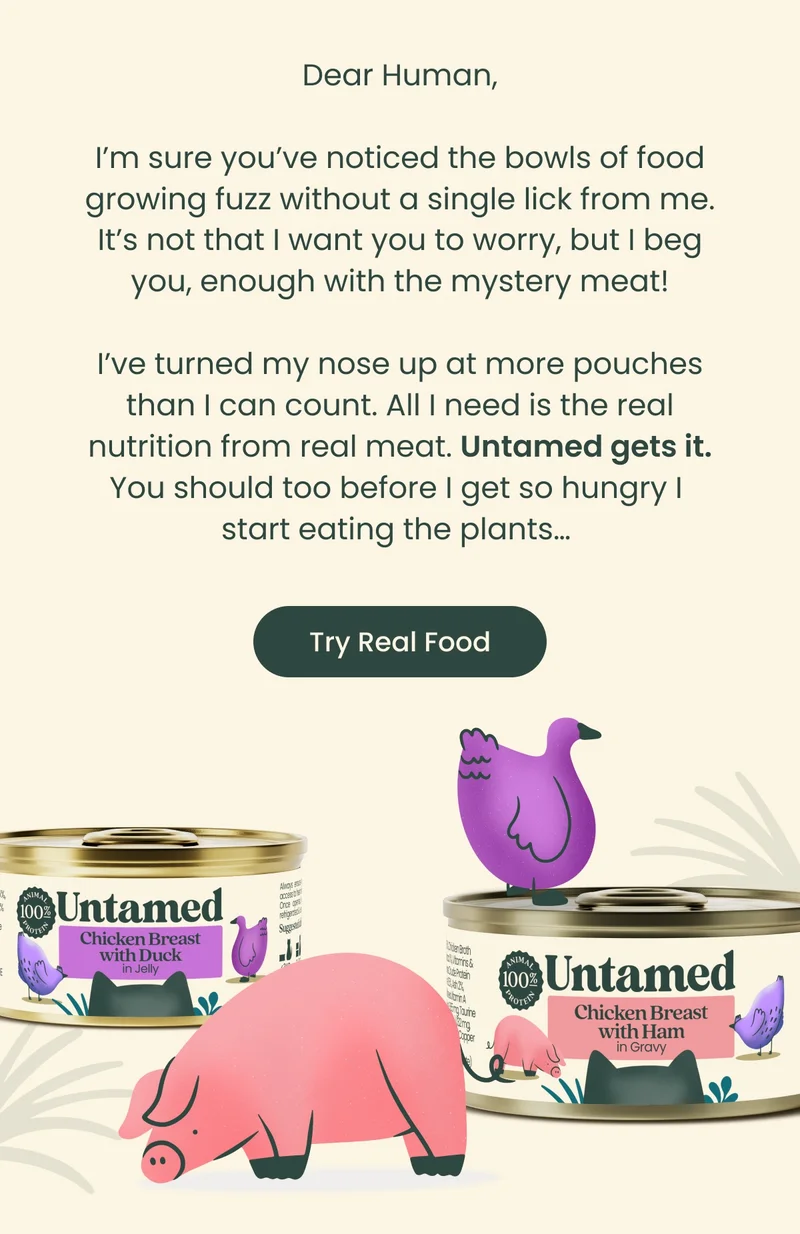 Try Real Food