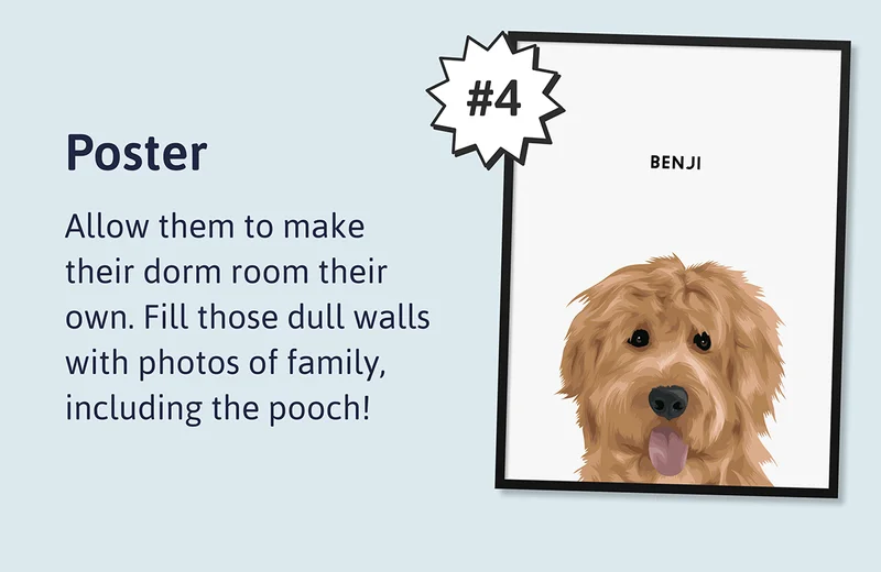 4. Poster - Allow them to make their dorm room their own. Fill those dull walls with photos of family, including the pooch!