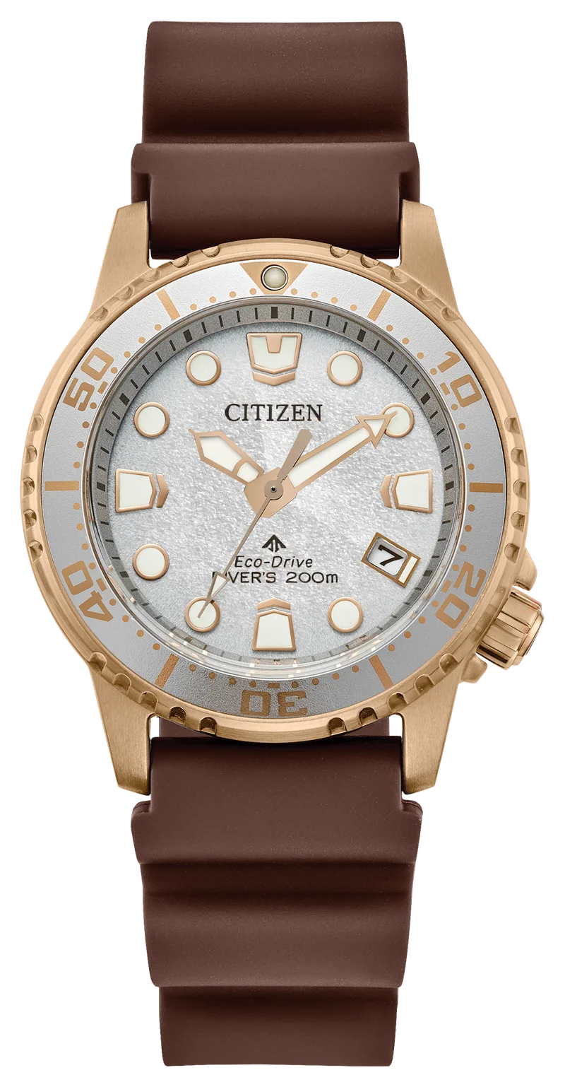 Image of Promaster Dive