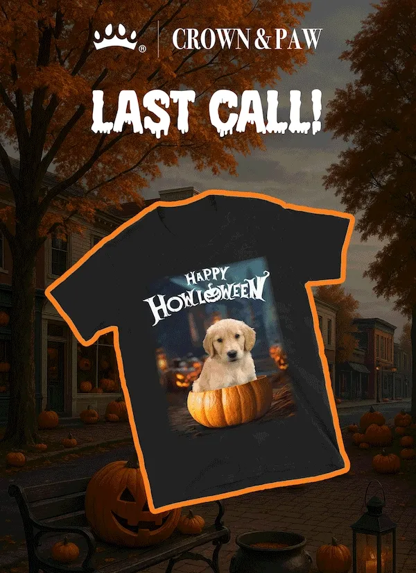 Last Call!