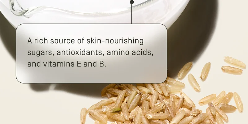 A rich source of skin-nourishing sugars, antioxidants, amino acids, and vitamin E and B.