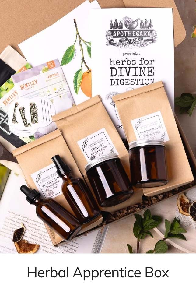 Herbal Apprentice Box