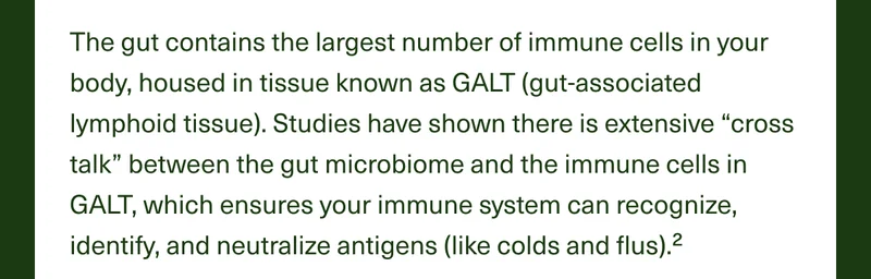 The gut contains the largest number of immune cells in your body, housed in tissue known as GALT (gut-associated lymphoid tissue). Studies have shown there is extensive “cross talk” between the gut microbiome and the immune cells in GALT, which ensures your immune system can recognize, identify, and neutralize antigens (like colds and flus).2