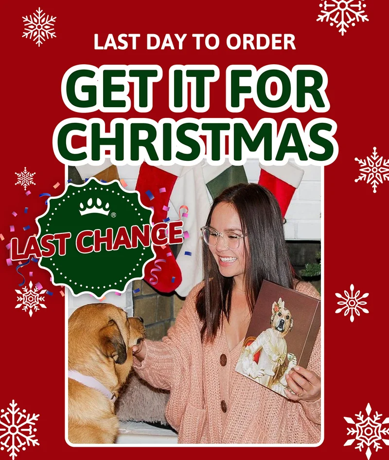 Last Day to Order: Get it for Christmas
