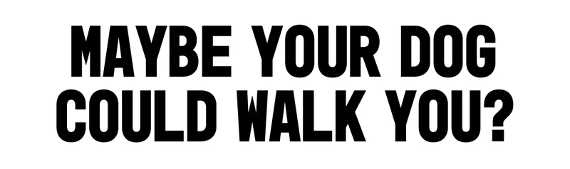 Dog Leash