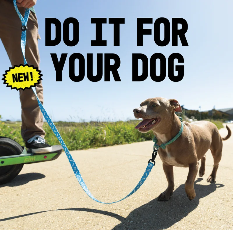Dog Leash