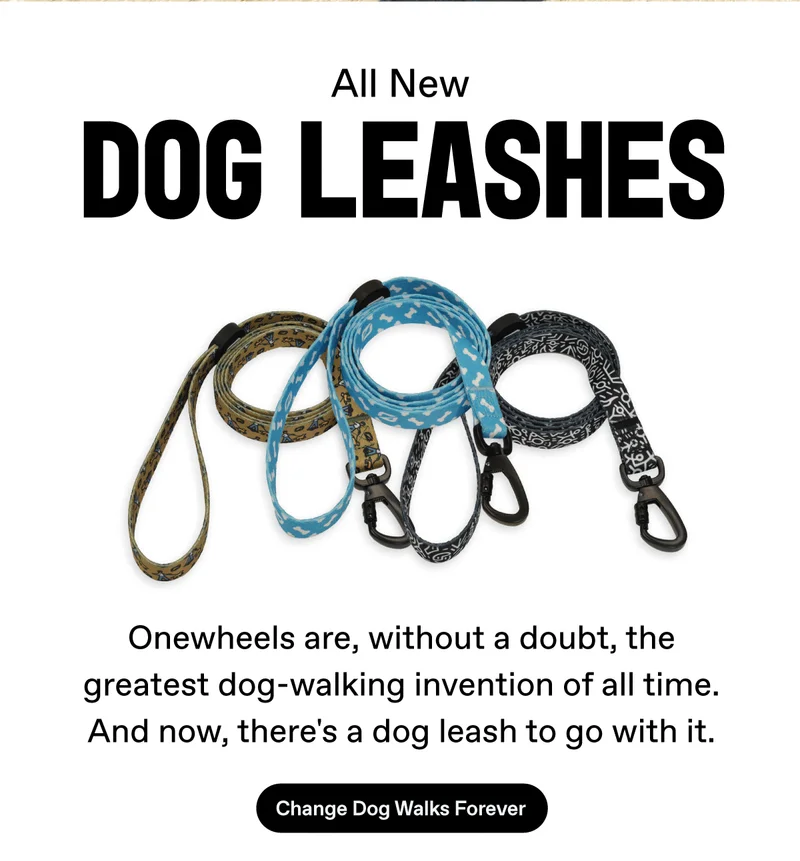 Dog Leash