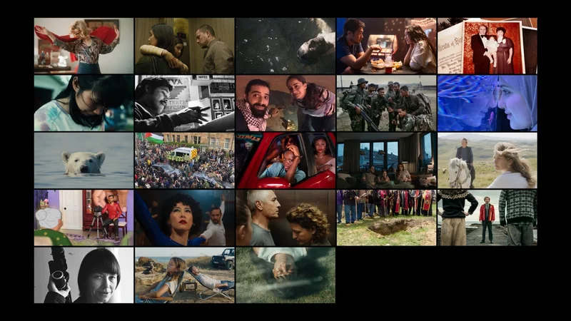 Collage of stills from 2026 Festival award winners.