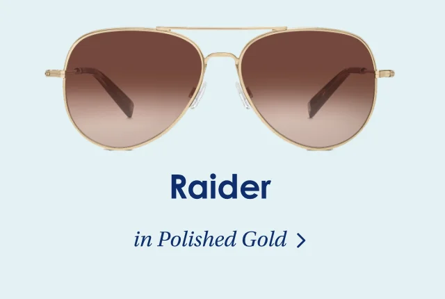 Raider