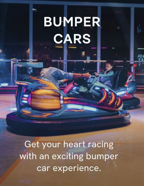 Bumper Cars – Click to View Cruises & Book Now
