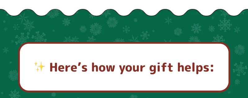 ✨ Here’s how your gift helps: