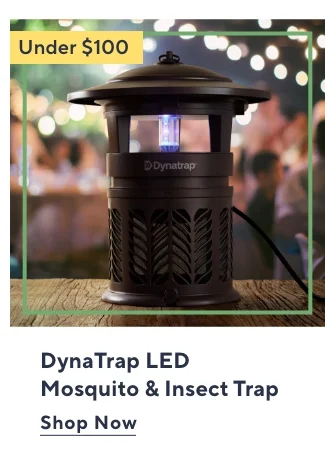 Buy Now