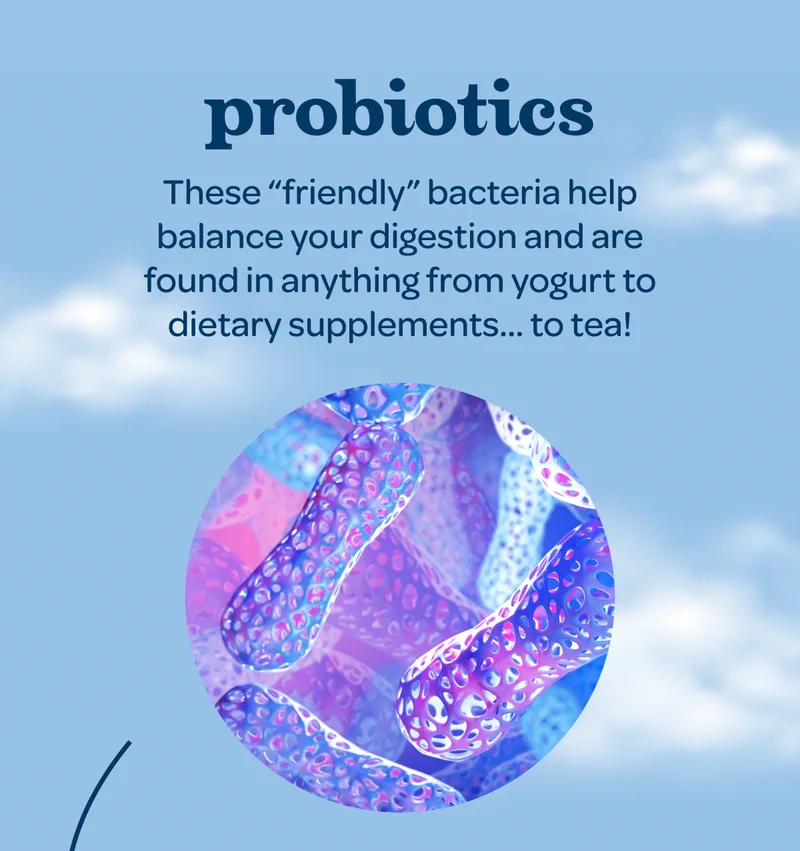 Probiotics - These “friendly” bacteria help balance your digestion and are found in anything from yogurt to dietary supplements… to tea!