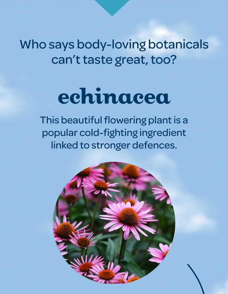 Who says body-loving botanicals can’t taste great, too? - Echinacea - This beautiful flowering plant is a popular cold-fighting ingredient linked to stronger defences.