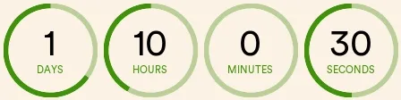 mailtimers.com